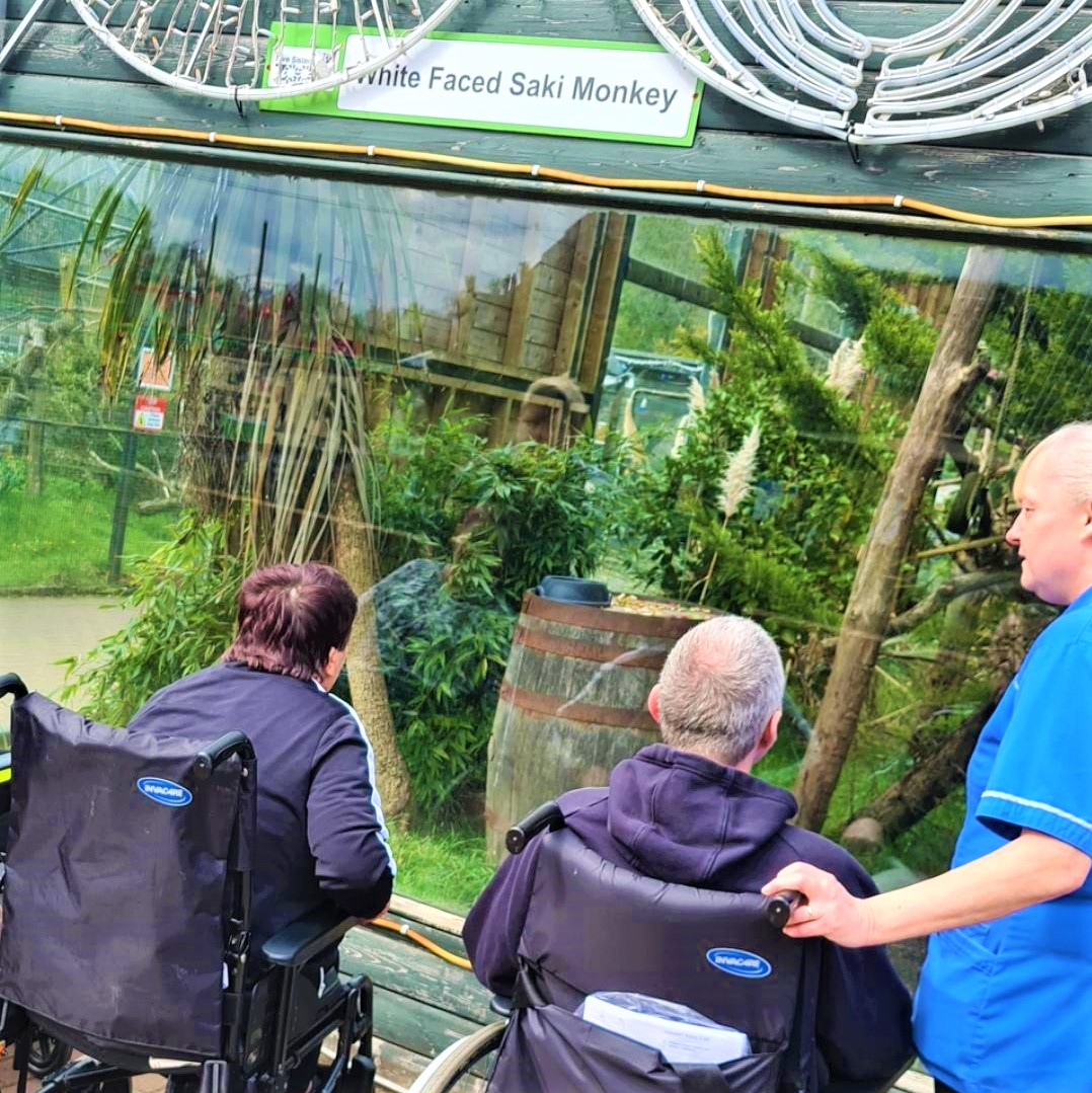 two residents in wheelchairs with staff looking at monkeys in enclosure