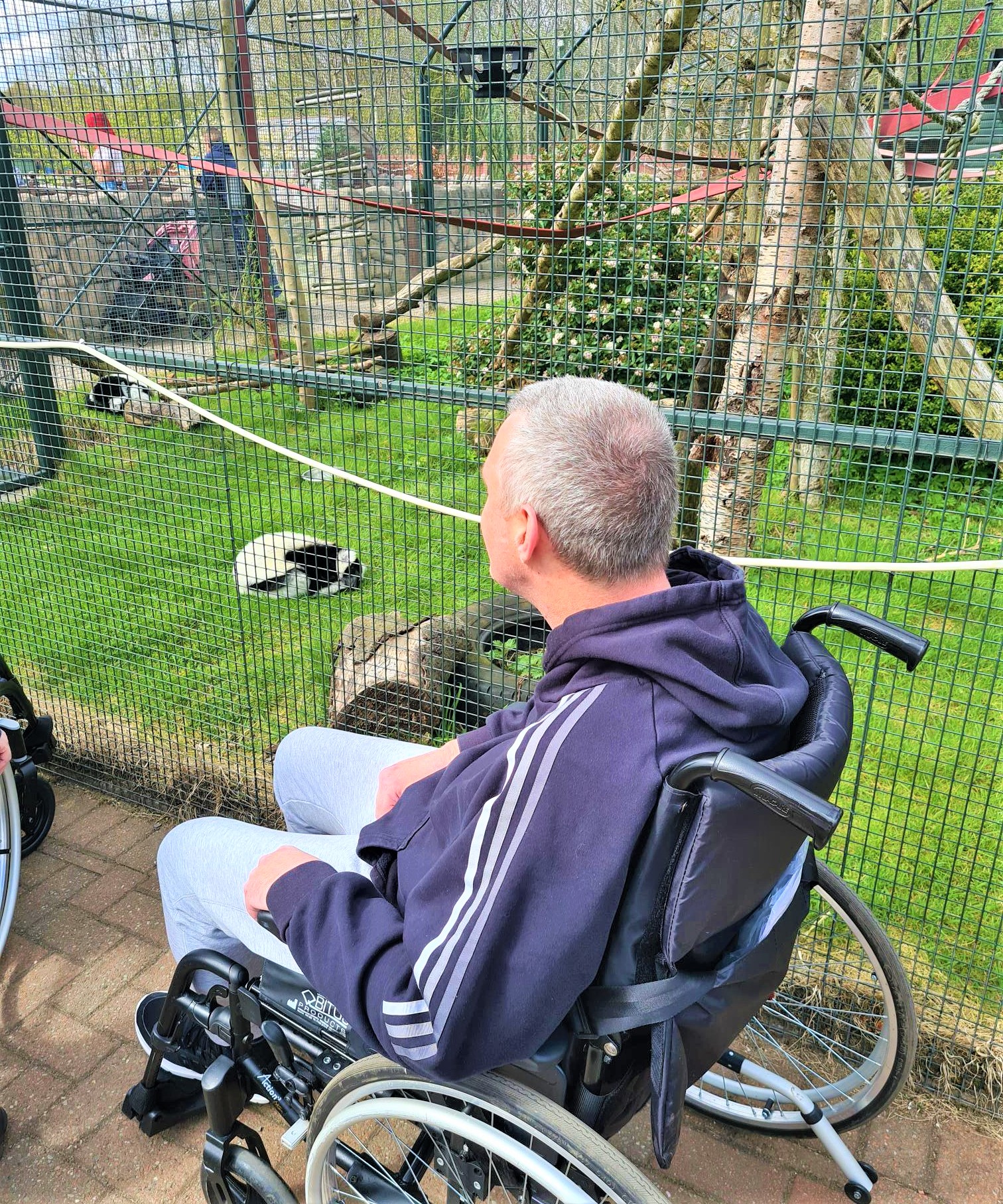 resident in wheelchair looking at large rabbit in enclosure