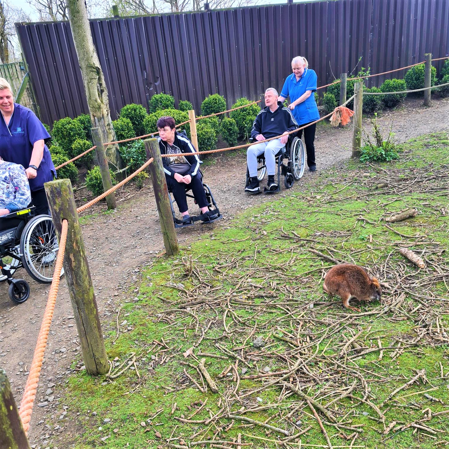 residents in wheelchairs wheeling around the zoo