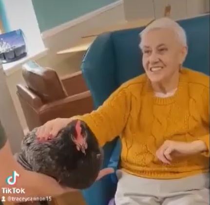 The Glens - Animal man visit residents stroking chicken