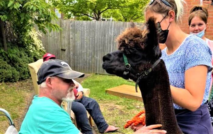 Llama with resident