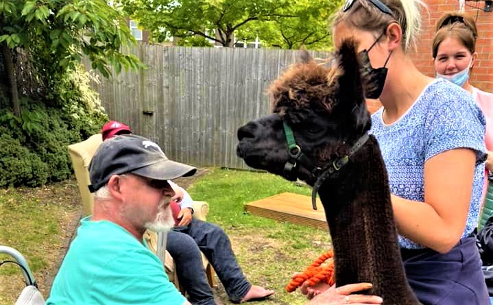 Llama with resident