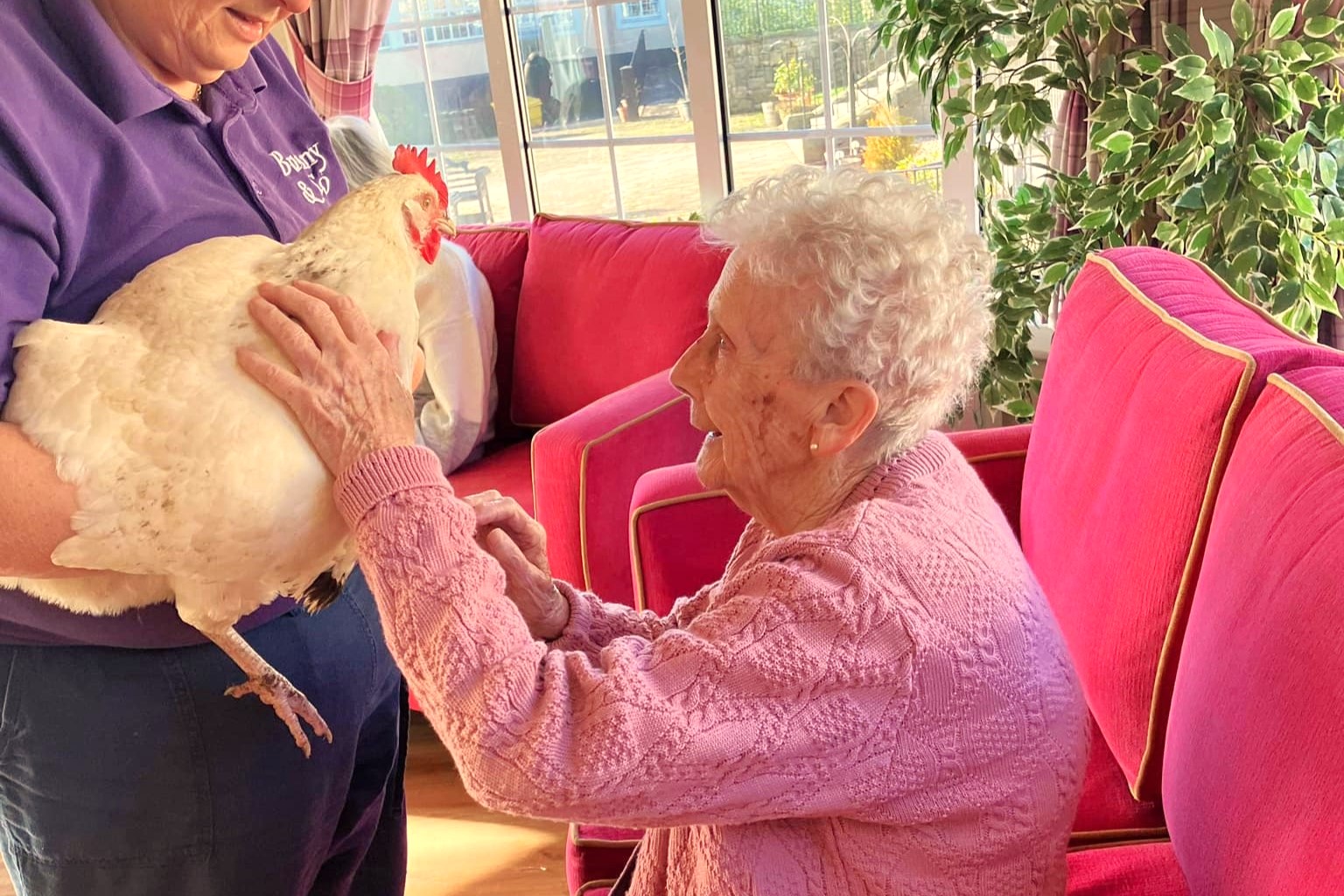 Residents at Wheatlands enjoyed a visit from Bunny & Co petting zoo.