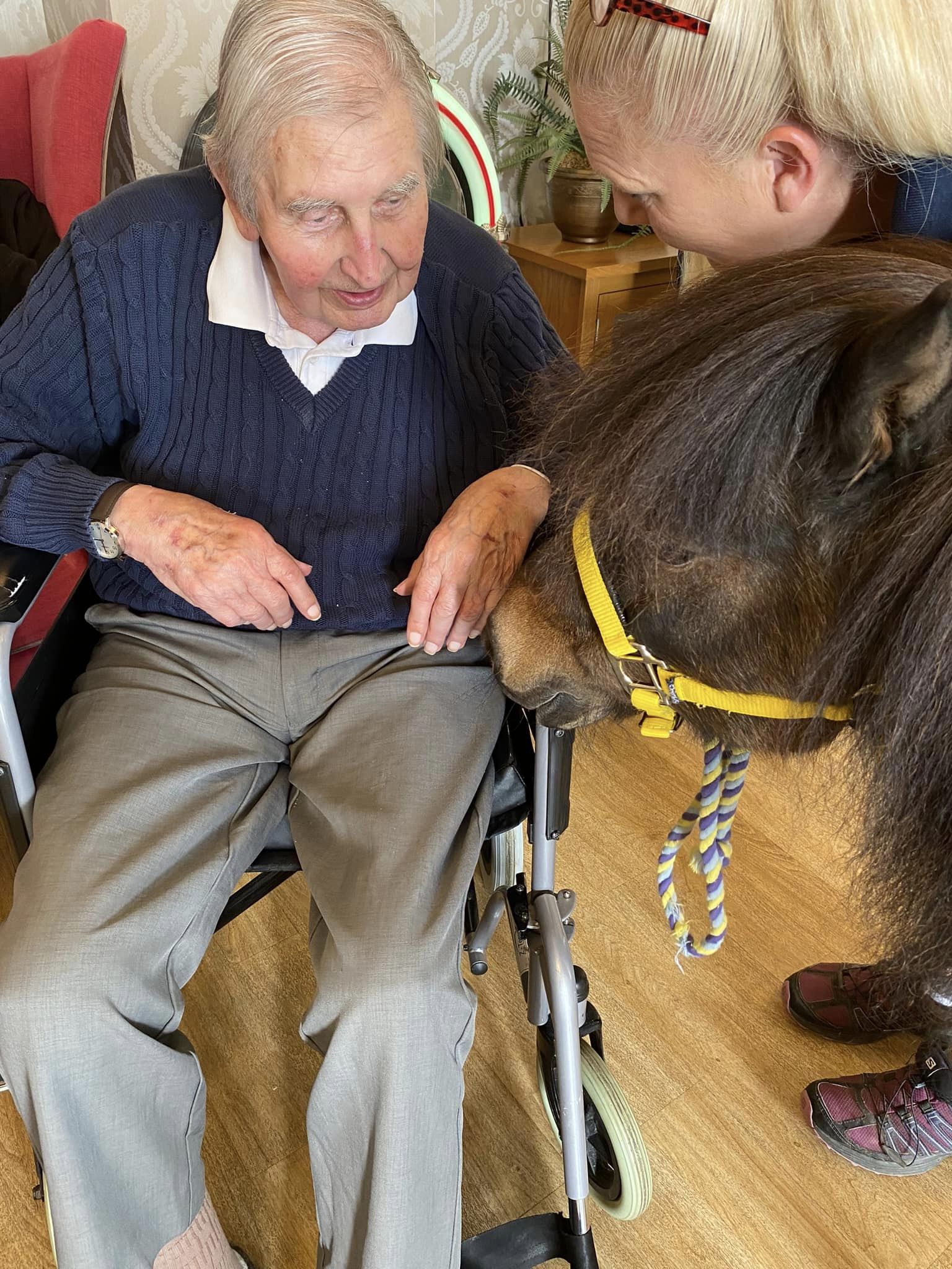Alastrean resident Rod Walker with one of the therapy ponies from Joyful Ponies & Pygmy's Animal Assisted Therapy.