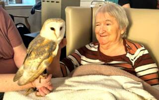 care home resident looking at large barn owl