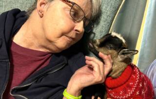 Jasmine the pygmy goat visits The Glens.