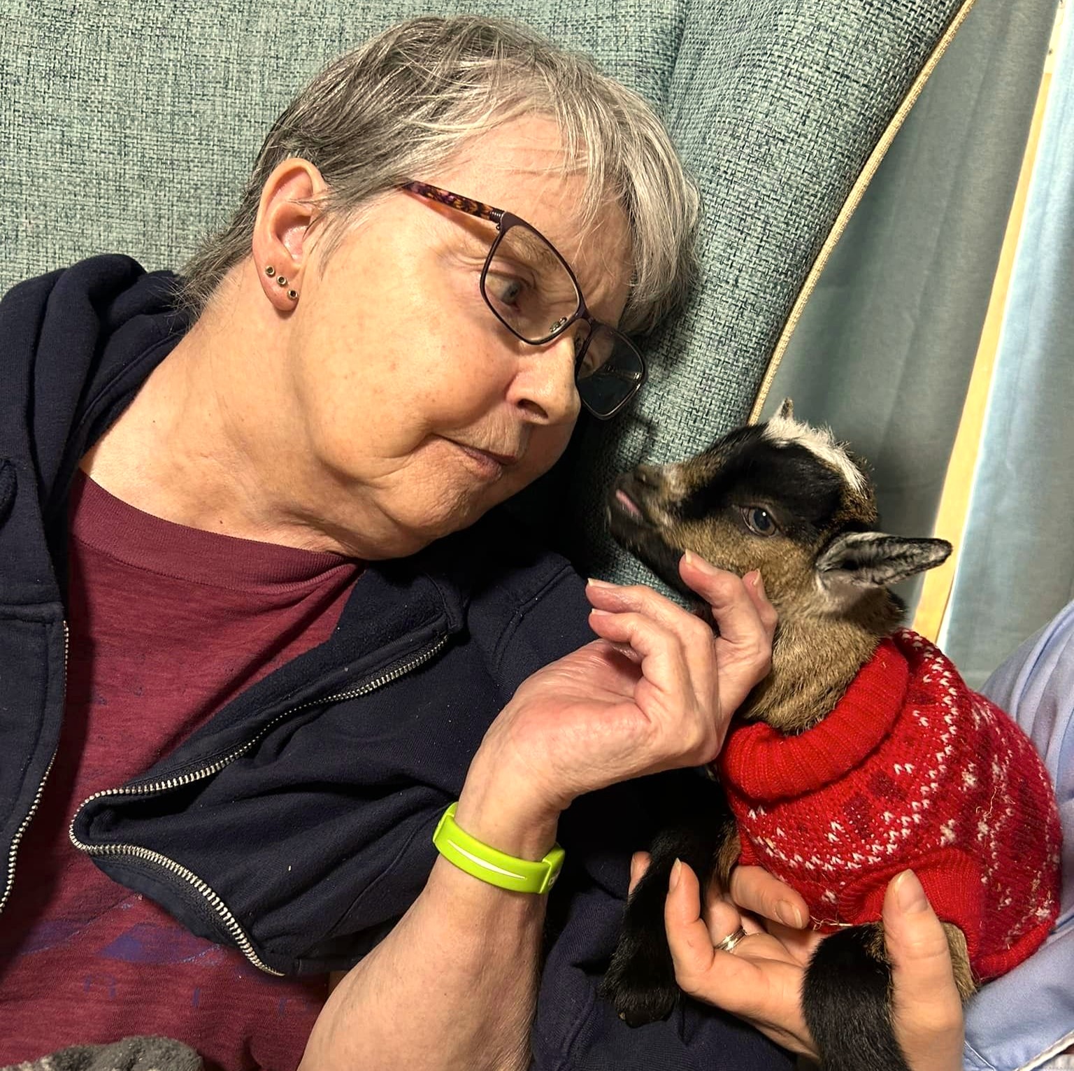 Jasmine the pygmy goat visits The Glens.